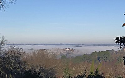 Participez au Magazine ZEN & SLOW