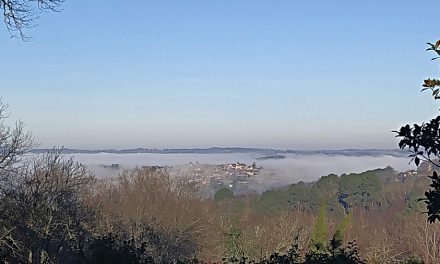 Participez au Magazine ZEN & SLOW