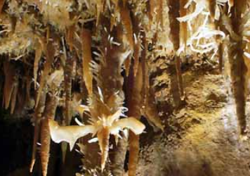 La visite d&rsquo;une grotte