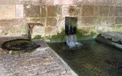 Segonzac: Un havre de slow tourisme et d&rsquo;authenticité