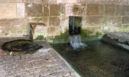 Segonzac: Un havre de slow tourisme et d&rsquo;authenticité